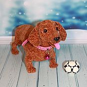 Soft toys: French bulldog. Knitted Bulldog