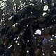 Пайетки в чёрном цвете. Итальянские ткани. Ткани. Ladivashop ткани/Алина. Интернет-магазин Ярмарка Мастеров.  Фото №2