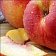 Peach Nectar (Персиковый нектар) CandleScience, Ароматизаторы, Самара,  Фото №1