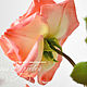tea rose. cold porcelain. Flowers. KG_flowers. My Livemaster. Фото №5