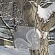 Сумка "Хрустальная зима". Классическая сумка. Марина Кирилина. Интернет-магазин Ярмарка Мастеров.  Фото №2