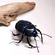 Черный навозный жук. Dung Beetle (фигурка). Статуэтки. Букашки. Ярмарка Мастеров.  Фото №6