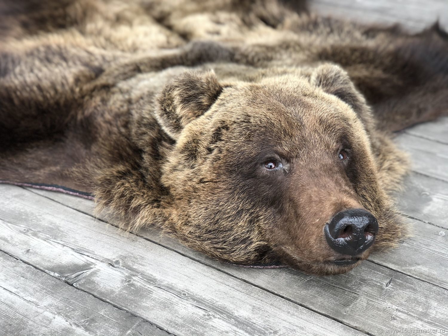 делить шкуру медведя