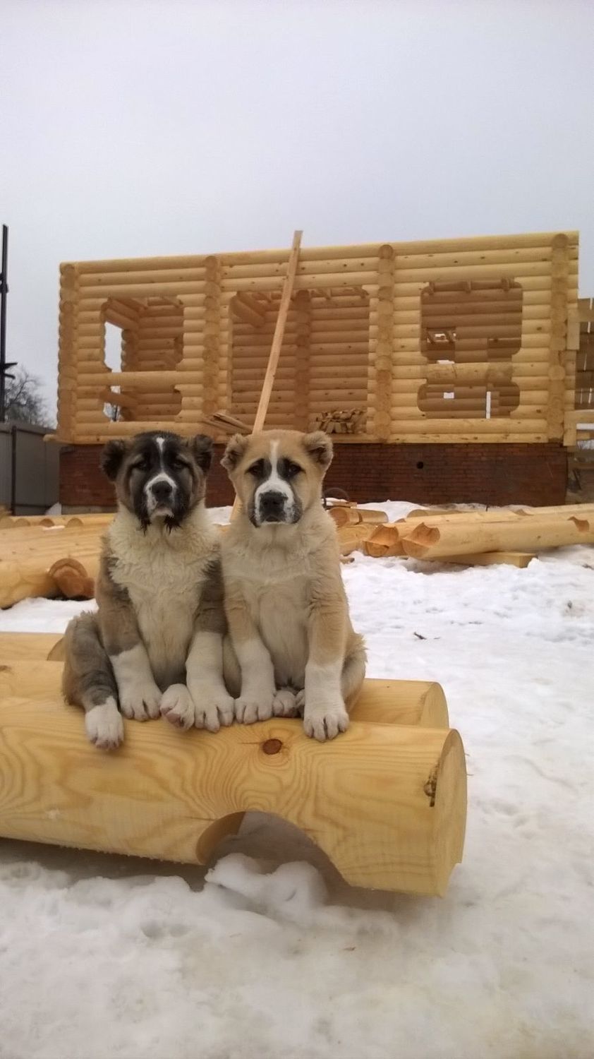 Мой профиль