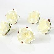 Материалы для творчества handmade. Livemaster - original item Paper flowers for scrapbooking apple tree milk flowers, 1 pc.. Handmade.