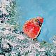 Oil painting Bird Red cardinal Christmas, Pictures, Alicante,  Фото №1