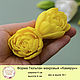 Order Silicone soap mold Tulip Terry Cameroon. myfavoriteforms (myfavoriteforms). Livemaster. . Form Фото №3