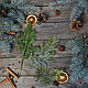 Туя ветка декоративная (арт R 151103). Декор для флористики. Artremeslo-decor. Интернет-магазин Ярмарка Мастеров.  Фото №2