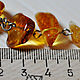 Amber Necklace 'Great'. Necklace. Amber is a warm stone. My Livemaster. Фото №4