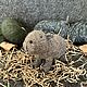 Заказать Капибара малыш. Игрушки добрые (Оксана). Ярмарка Мастеров. . Мягкие игрушки Фото №3