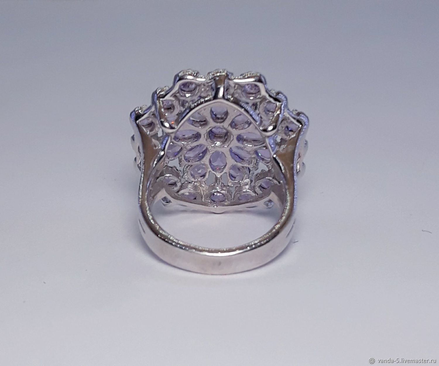 Хризантема перстень королевы фото и описание
