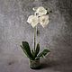 Белая орхидея из холодного фарфора. Композиции. YULIYA. Интернет-магазин Ярмарка Мастеров.  Фото №2