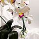 La flor de la lámpara de la orquídea phalaenopsis blanca. Table lamps. Elena Krasilnikova. Ярмарка Мастеров.  Фото №5