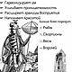 Обелиск из Тибетского Горного Хрусталя. Кристалл. Око Сириуса. Ярмарка Мастеров.  Фото №5