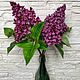 Заказать Сирень. Myclayflowers_hm. Ярмарка Мастеров. . Элементы интерьера Фото №3