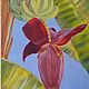 Painting Banana Flower oil on canvas, Pictures, Moscow,  Фото №1
