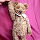 Медведь Тедди, 40 см. Мягкие игрушки. Elena Nesterova.Teddy. Ярмарка Мастеров.  Фото №6