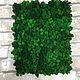 Order Panel made of real moss 30*40 cm. Антонина Литовкина - Озеленение (Планета Флористики). Livemaster. . Natural materials Фото №3