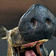  Scarecrow - The head of a boar cleaver. Interior elements. Unique items made of wood, handmade. My Livemaster. Фото №6