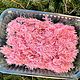 Аспарагус розовый стабилизированный 500 мл. Сухоцветы для творчества. Сухоцветы  suhotswet. Ярмарка Мастеров.  Фото №5