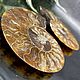 Order Ammonite is a natural fossil. An unusual gift art 680. Iz kamnej. Livemaster. . Stones Фото №3