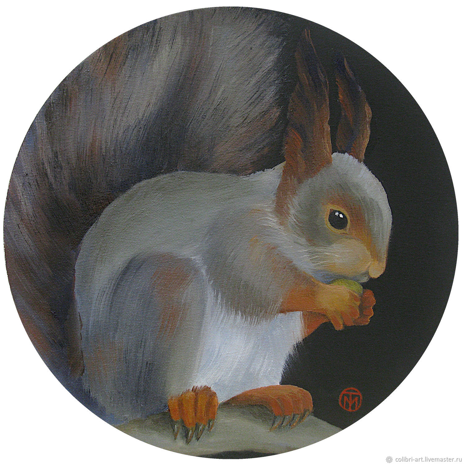 Squirrel painting squirrel round oil painting animals, Pictures, St. Petersburg,  Фото №1