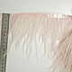 Trim of ostrich feathers 10-15 cm light powder, braid, Moscow,  Фото №1