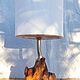 Настольный светильник из дерева ручной работы, Настольные лампы, Тирасполь,  Фото №1
