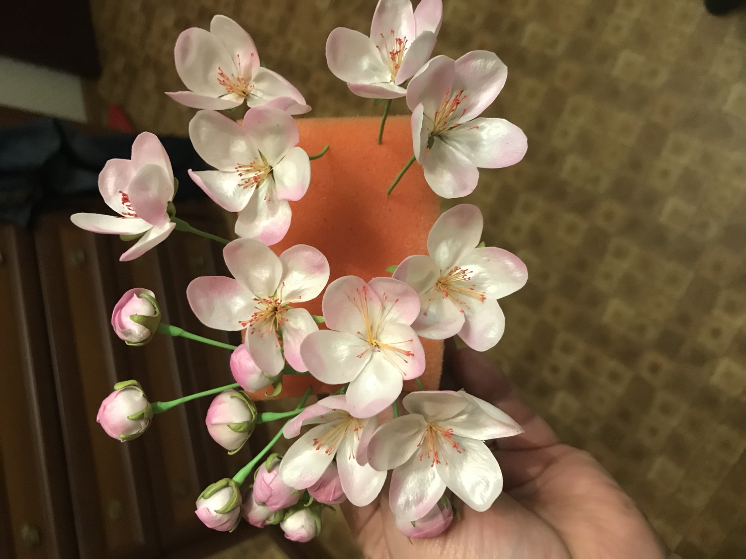 Мой профиль
