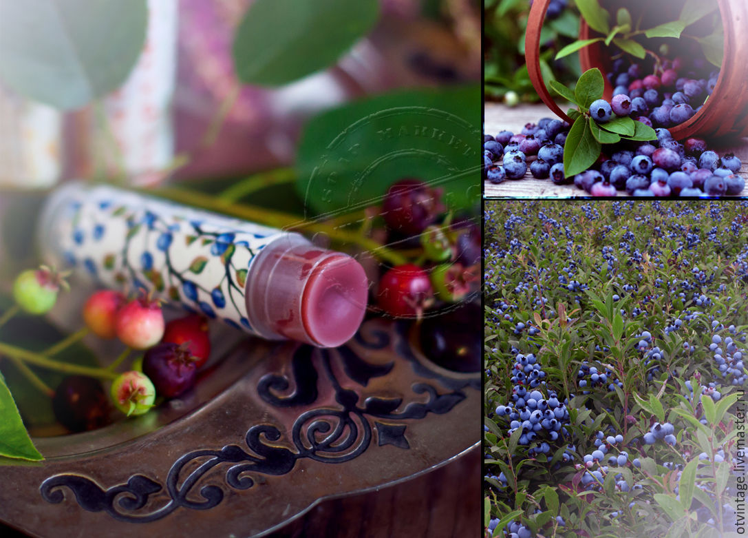 Balm for lips 'Blueberry Polyana', Lip Balm, Peterhof,  Фото №1