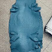 Материалы для творчества handmade. Livemaster - original item Crocodile skin, dense dressing, blue color.. Handmade.