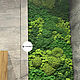 Заказать Фитокартина из мха. Green.Box. Ярмарка Мастеров. . Фитокартины Фото №3