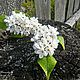 Заказать Броши с белой сиренью. СветланаТерновская (Flower-life). Ярмарка Мастеров. . Цветы Фото №3
