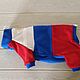 Clothing for cats Fleece jumpsuit 'Patriot'. Pet clothes. Happy-sphynx. My Livemaster. Фото №4
