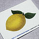Felt pattern for brooch Lemon yellow Green, Embroidery kits, Solikamsk,  Фото №1