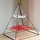 Glass display. Jewelry box. Glass pyramid. Box. Glass Flowers. My Livemaster. Фото №4