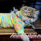 Plush suit 'rainbow'. Pet clothes. Animal-Style. Online shopping on My Livemaster.  Фото №2