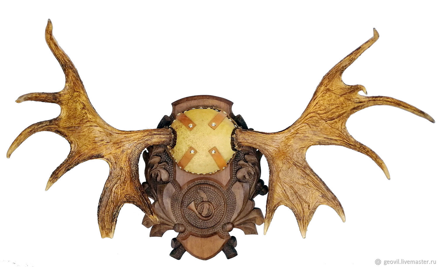 Рога лося на стену. Подставка под лосиные рога. Лосиные рога на медальоне. Лосиные рога на медальоне. Череп лося.