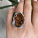 Кольцо с аммонитом ''Сиагара''. Кольца. Shahinian Jewelry. Интернет-магазин Ярмарка Мастеров.  Фото №2