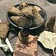Заказать "МЕТЛА" очищающие полынные конусы. Травница (magic-herbs). Ярмарка Мастеров. . Травы для окуривания Фото №3