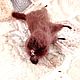 Валяная кошка Матильда, игрушка из шерсти на проволочном каркасе. Войлочная игрушка. Магия шерсти (Оксана Чеглакова). Интернет-магазин Ярмарка Мастеров.  Фото №2