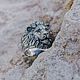 Lion Ring (Small) | Silver, Rings, Moscow,  Фото №1