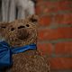 Мишка Кир. Мишки Тедди. Елена Перминова (elenaperminovabears). Ярмарка Мастеров.  Фото №10