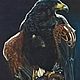 Order Picture: falconry. Fragment. Honfleur. Livemaster. . Pictures Фото №3