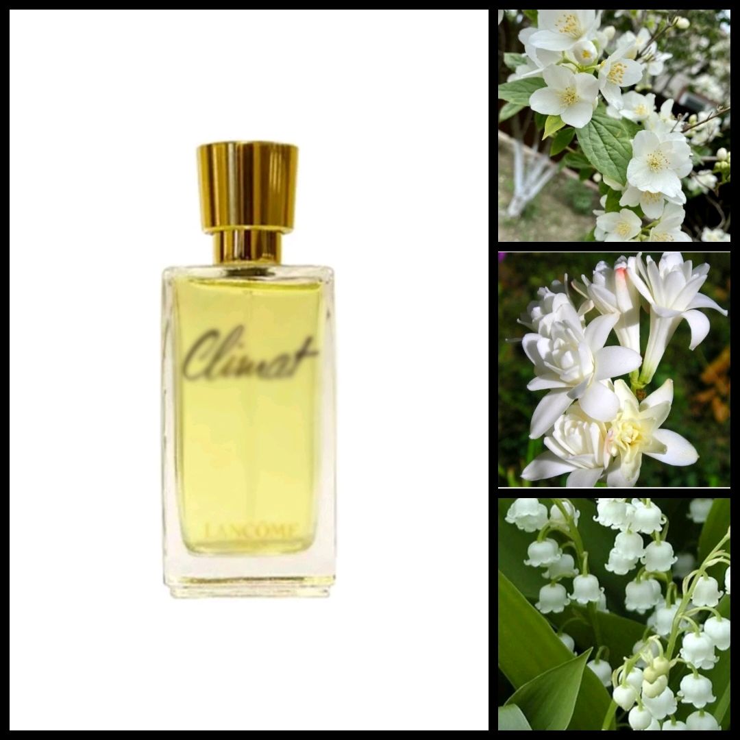 Духи в стиле Lancome — Climat w купить в интернет-магазине Ярмарка ...