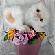 Persian fluffy kitten, Teddy Toys, Ufa,  Фото №1