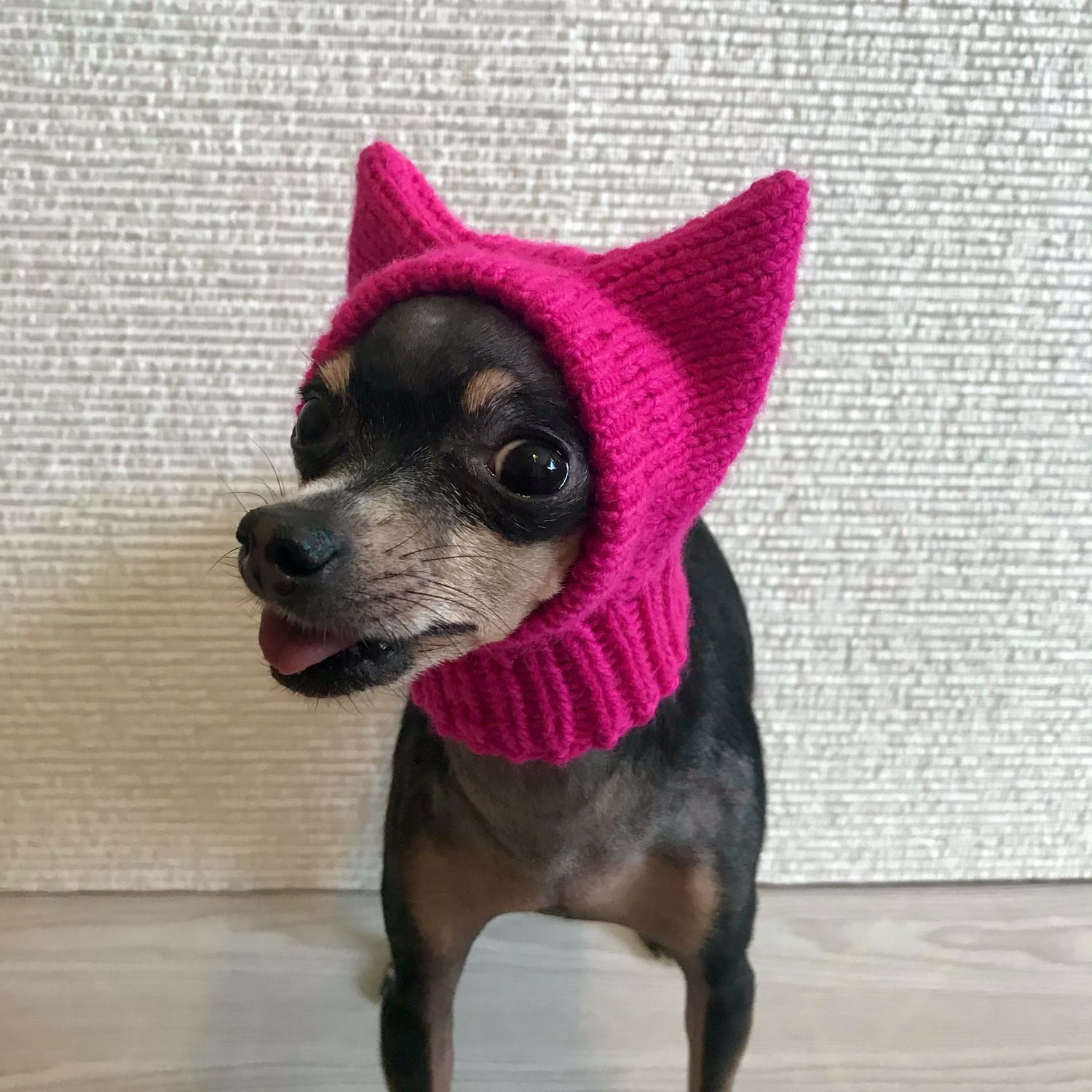 Шапка для собак Pet Fashion, Bubo теплый зимний аксессуар