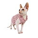Заказать Kotomoda  одежда для сфинксов РОЗОВЫЕ КОТЫ. Kotomoda Cat Wear. Ярмарка Мастеров. . Аксессуары для питомцев Фото №3