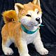 Order Realistic Akitu-Inu Puppy. zubarevairina. Livemaster. . Stuffed Toys Фото №3
