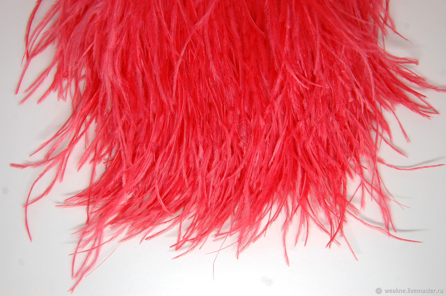 red ostrich feathers